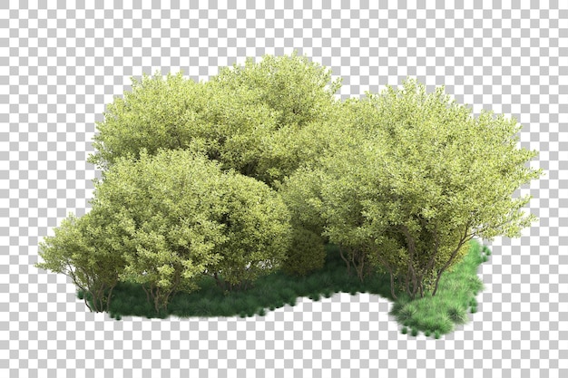 Paisaje verde aislado en un fondo transparente Ilustración de renderización 3D
