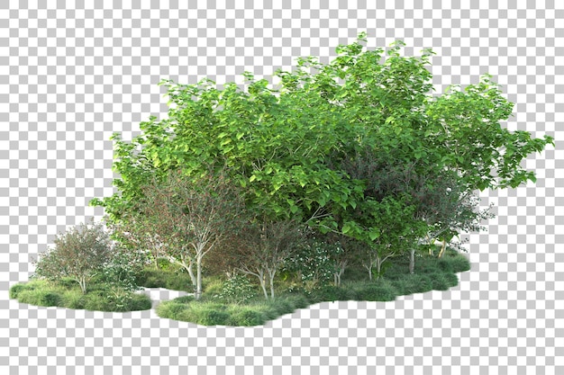 Paisaje verde aislado en un fondo transparente Ilustración de renderización 3D