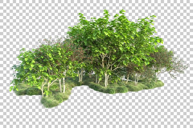 Paisaje verde aislado en un fondo transparente Ilustración de renderización 3D