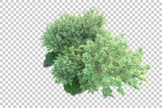 Paisaje verde aislado en un fondo transparente Ilustración de renderización 3D