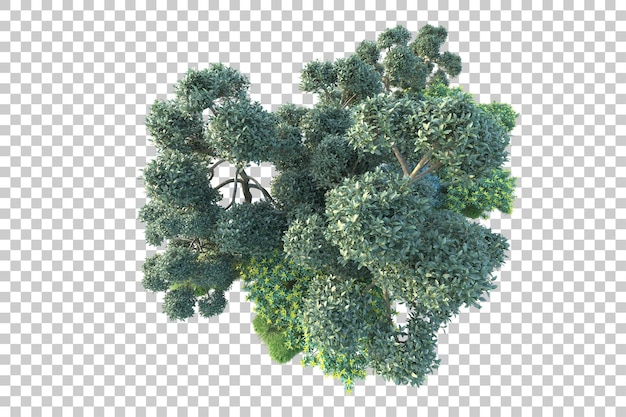 Paisaje verde aislado en un fondo transparente Ilustración de renderización 3D