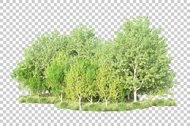 Paisaje verde aislado en un fondo transparente Ilustración de renderización 3D