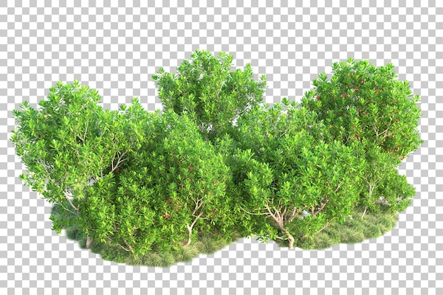 Paisaje verde aislado en un fondo transparente Ilustración de renderización 3D
