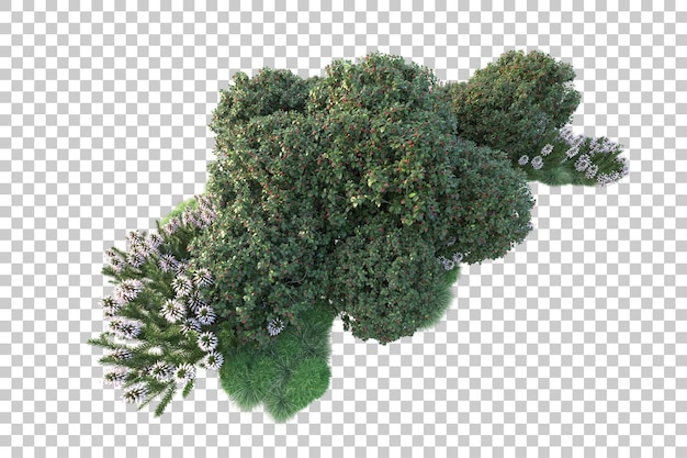 Paisaje verde aislado en un fondo transparente Ilustración de renderización 3D