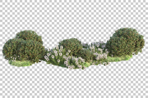 Paisaje verde aislado en un fondo transparente Ilustración de renderización 3D