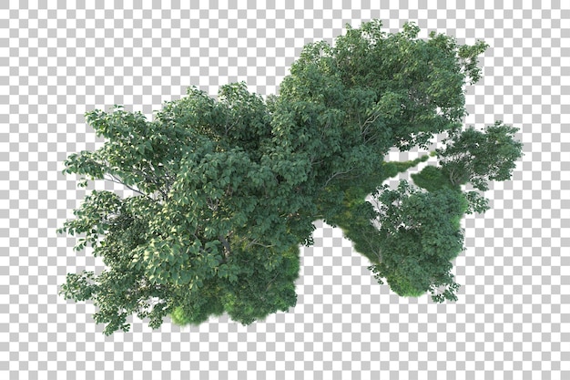 Paisaje verde aislado en un fondo transparente Ilustración de renderización 3D