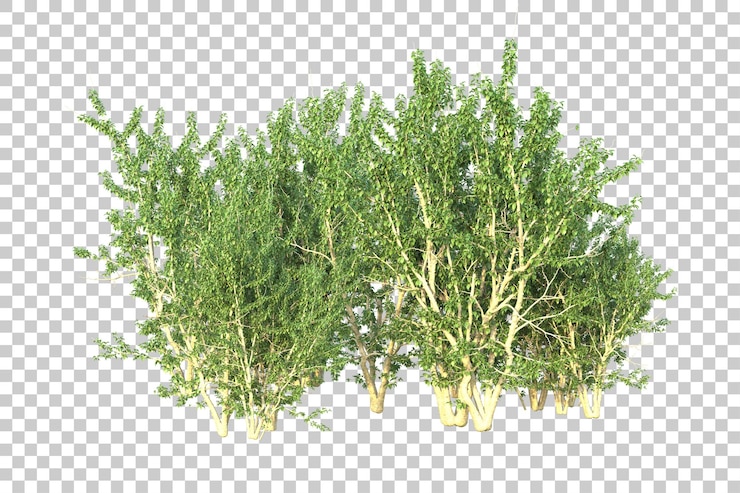 PSD paisaje verde aislado en un fondo transparente ilustración de renderización 3d