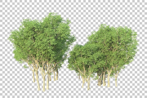 Paisaje verde aislado en un fondo transparente Ilustración de renderización 3D