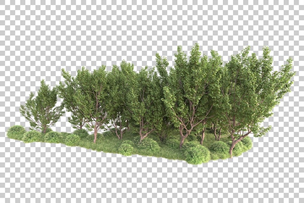 Paisaje verde aislado en un fondo transparente Ilustración de renderización 3D