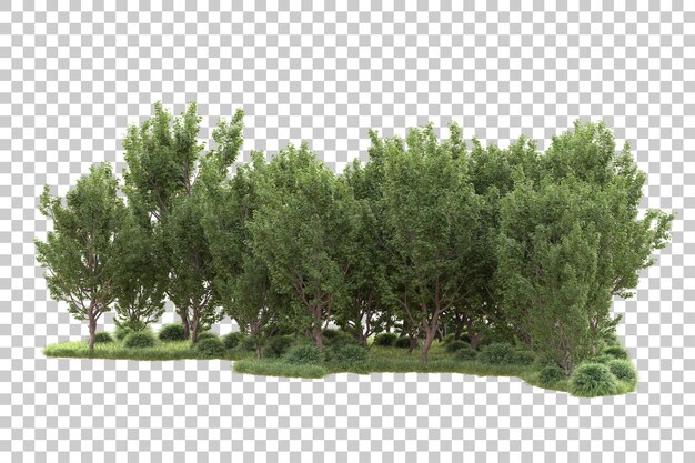 Paisaje verde aislado en un fondo transparente Ilustración de renderización 3D