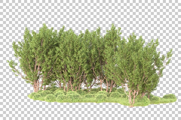 Paisaje verde aislado en un fondo transparente Ilustración de renderización 3D