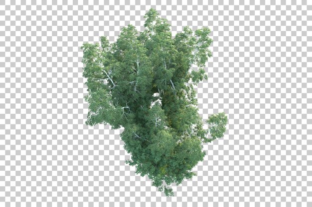 Paisaje verde aislado en un fondo transparente Ilustración de renderización 3D