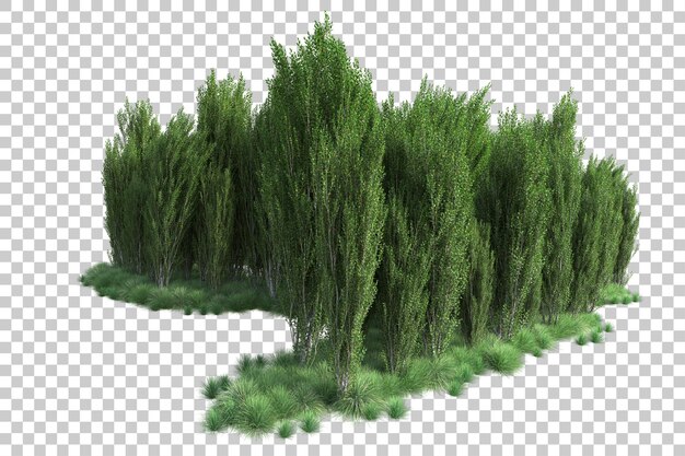 Paisaje verde aislado en la ilustración de representación 3d de fondo transparente
