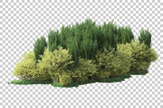 Paisaje verde aislado en la ilustración de representación 3d de fondo transparente