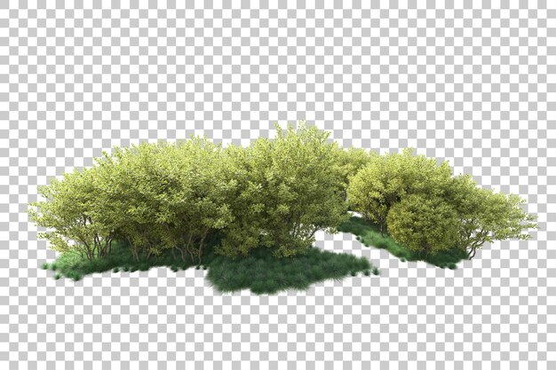 Paisaje verde aislado en la ilustración de representación 3d de fondo transparente