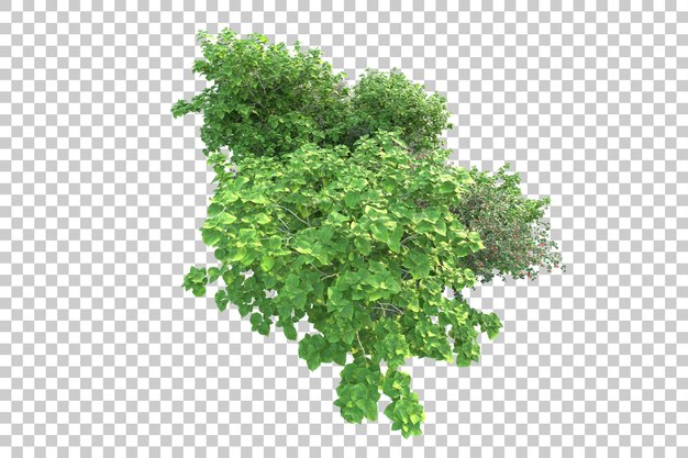 Paisaje verde aislado en la ilustración de representación 3d de fondo transparente
