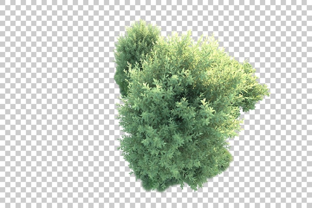 PSD paisaje verde aislado en la ilustración de representación 3d de fondo transparente
