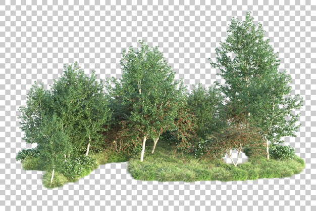 Paisaje verde aislado en la ilustración de representación 3d de fondo transparente