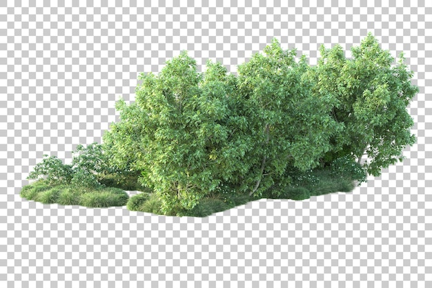 Paisaje verde aislado en la ilustración de representación 3d de fondo transparente