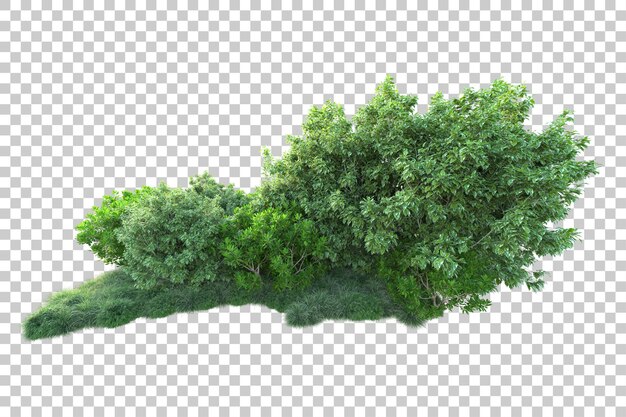 Paisaje verde aislado en la ilustración de representación 3d de fondo transparente