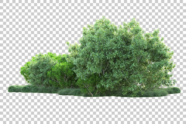 Paisaje verde aislado en la ilustración de representación 3d de fondo transparente
