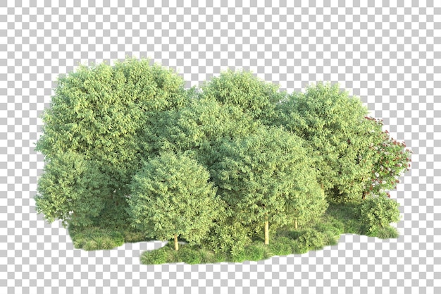 PSD paisaje verde aislado en la ilustración de representación 3d de fondo transparente