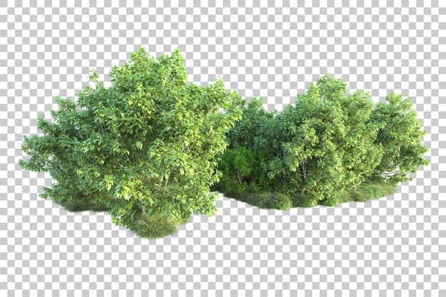 PSD paisaje verde aislado en la ilustración de representación 3d de fondo transparente