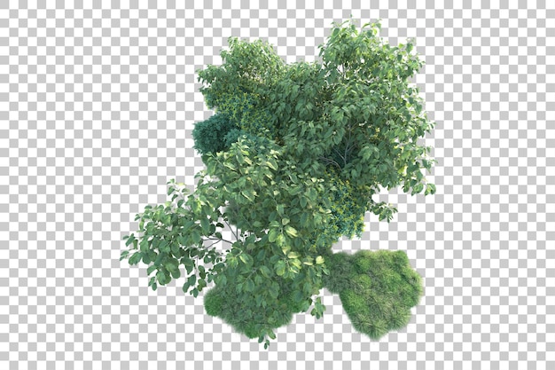 Paisaje verde aislado en la ilustración de representación 3d de fondo transparente
