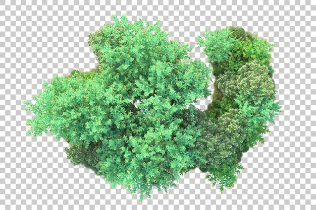 Paisaje verde aislado en la ilustración de representación 3d de fondo transparente