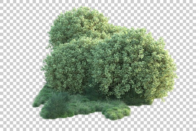 Paisaje verde aislado sobre fondo transparente ilustración de renderizado 3d