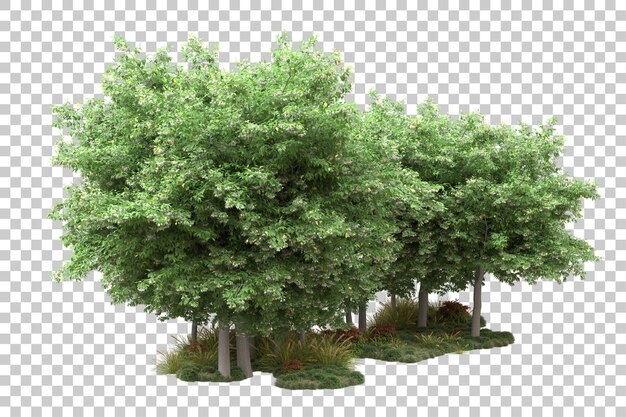 Paisaje verde aislado sobre fondo transparente ilustración de renderizado 3d