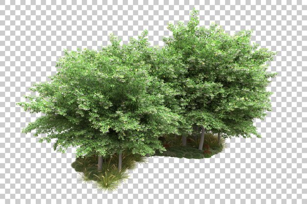Paisaje verde aislado sobre fondo transparente ilustración de renderizado 3d