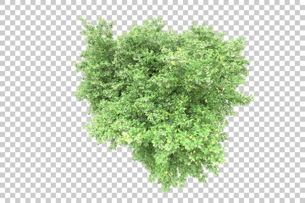 Paisaje verde aislado sobre fondo transparente ilustración de renderizado 3d
