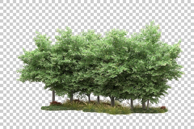 Paisaje verde aislado sobre fondo transparente ilustración de renderizado 3d