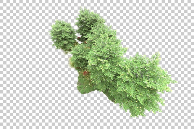 Paisaje verde aislado sobre fondo transparente ilustración de renderizado 3d