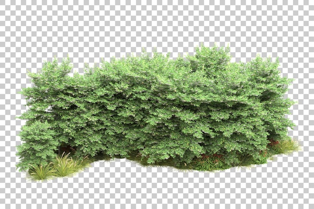 Paisaje verde aislado sobre fondo transparente ilustración de renderizado 3d
