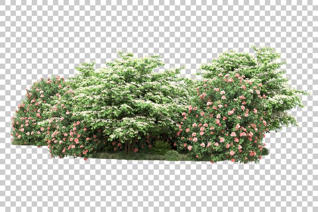 Paisaje verde aislado sobre fondo transparente ilustración de renderizado 3d