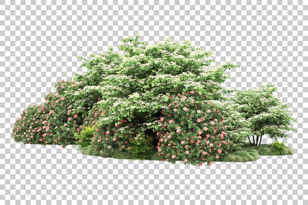 Paisaje verde aislado sobre fondo transparente ilustración de renderizado 3d