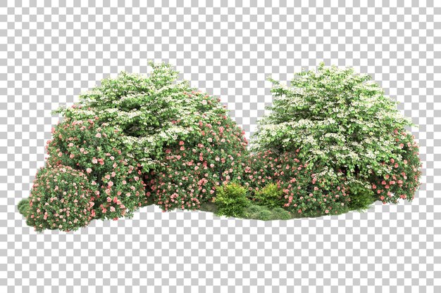 Paisaje verde aislado sobre fondo transparente ilustración de renderizado 3d