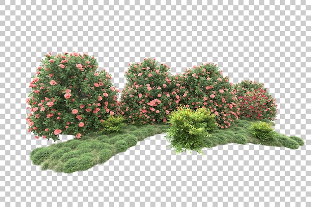 Paisaje verde aislado sobre fondo transparente ilustración de renderizado 3d