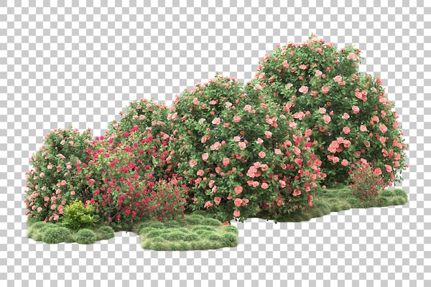 Paisaje verde aislado sobre fondo transparente ilustración de renderizado 3d