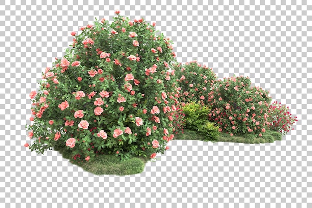 Paisaje verde aislado sobre fondo transparente ilustración de renderizado 3d