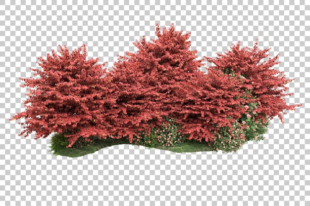 Paisaje verde aislado sobre fondo transparente ilustración de renderizado 3d