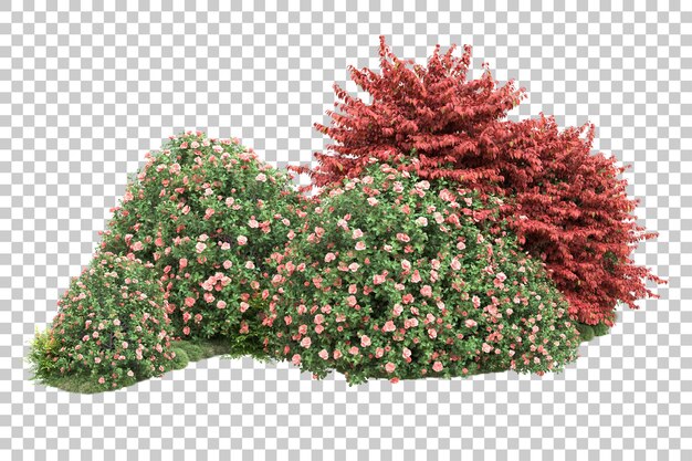 Paisaje verde aislado sobre fondo transparente ilustración de renderizado 3d
