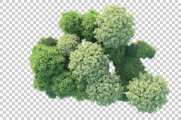 Paisaje verde aislado sobre fondo transparente ilustración de renderizado 3d