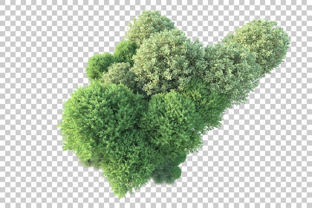 Paisaje verde aislado sobre fondo transparente ilustración de renderizado 3d