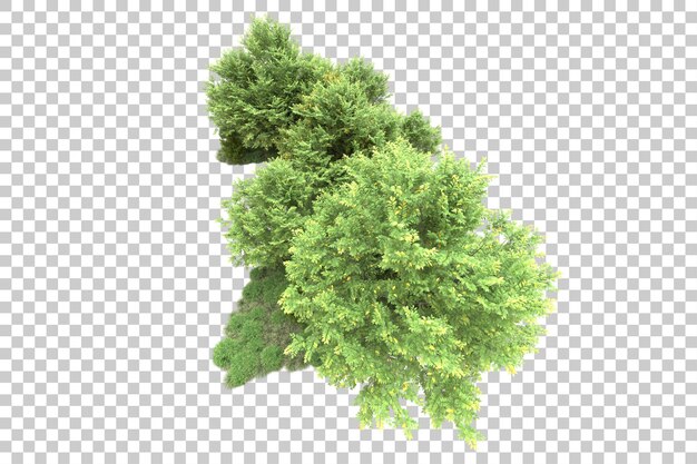 Paisaje verde aislado sobre fondo transparente ilustración de renderizado 3d