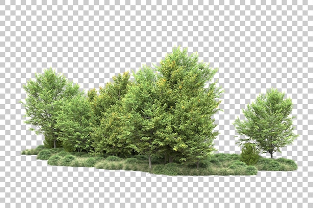 Paisaje verde aislado sobre fondo transparente ilustración de renderizado 3d