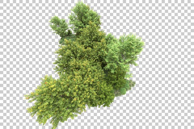 Paisaje verde aislado sobre fondo transparente ilustración de renderizado 3d