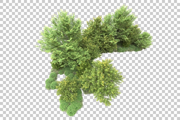 Paisaje verde aislado sobre fondo transparente ilustración de renderizado 3d